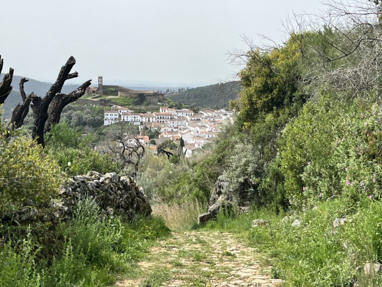 La Dehesa, un modèle d’exploitation équilibrée entre l’homme et la nature